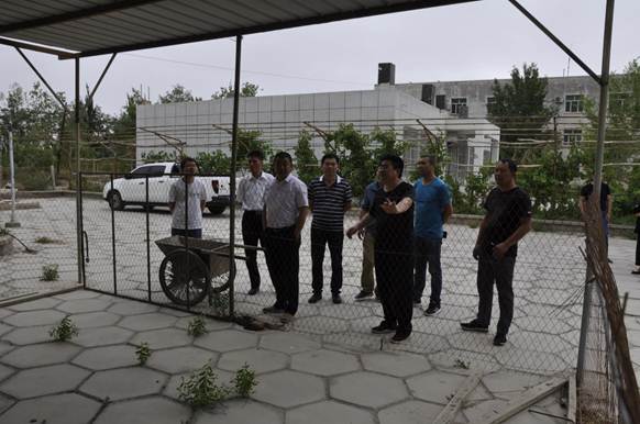 说明: _DSC0186