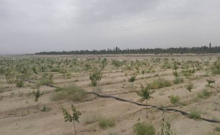 说明: IMG_20170809_131722