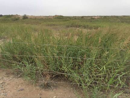 说明: TIM图片20170811160406