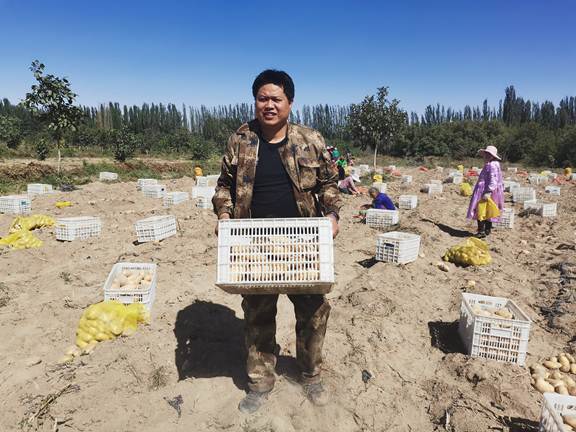 说明: 第一书记助理帮忙搬运土豆