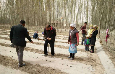 自治区水利厅驻和田地区策勒县博斯坦乡墩巴格村"访惠聚"工作队积极